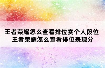 王者荣耀怎么查看排位赛个人段位 王者荣耀怎么查看排位表现分